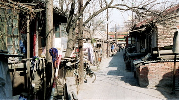 chine104