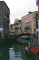 venis115