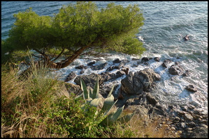 marine 4 6352731463 o
