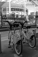 img 0185 lr 14916965807 o