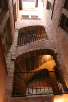 lyon252 285579381 o