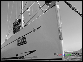 we voile jun 09 05 3672363260 o