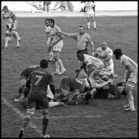 rugby006 4285179324 o