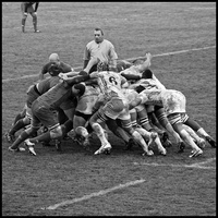 rugby012 4284436375 o