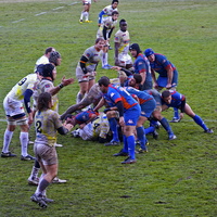 rugby019 4284437165 o