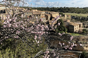 img 0900 dxo 49525326571 o