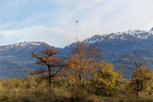 cr6 0403 dxo 52494338461 o