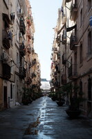 DSCF0553